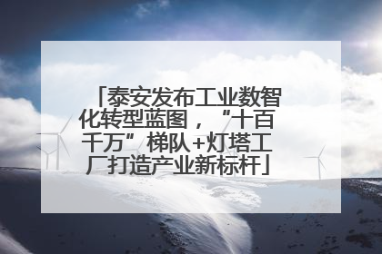 泰安发布工业数智化转型蓝图，“十百千万”梯队+灯塔工厂打造产业新标杆