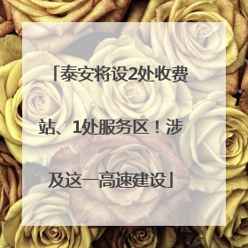泰安将设2处收费站、1处服务区！涉及这一高速建设