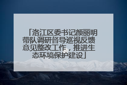 洛江区委书记颜丽明带队调研督导巡视反馈意见整改工作，推进生态环境保护建设