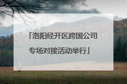 洛阳经开区跨国公司专场对接活动举行