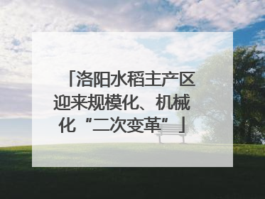 洛阳水稻主产区迎来规模化、机械化“二次变革”
