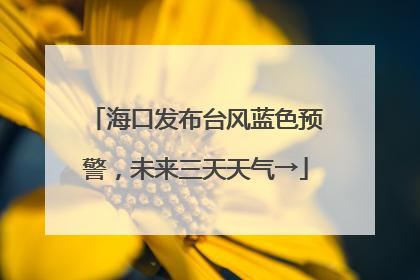 海口发布台风蓝色预警，未来三天天气→