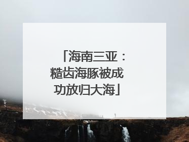 海南三亚：糙齿海豚被成功放归大海