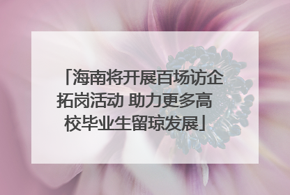 海南将开展百场访企拓岗活动 助力更多高校毕业生留琼发展