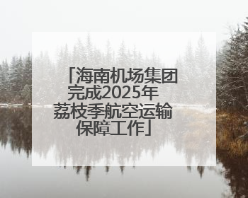 海南机场集团完成2025年荔枝季航空运输保障工作