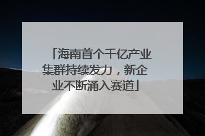 海南首个千亿产业集群持续发力，新企业不断涌入赛道