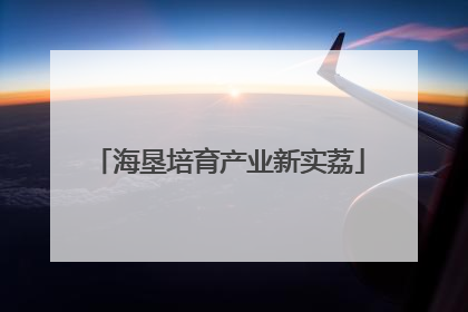 海垦培育产业新实荔