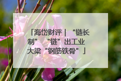 海岱财评｜“链长制” “链”出工业大梁“钢筋铁骨”