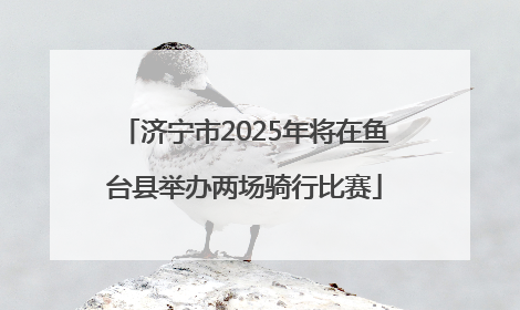 济宁市2025年将在鱼台县举办两场骑行比赛