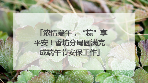 浓情端午，“粽”享平安！香坊分局圆满完成端午节安保工作