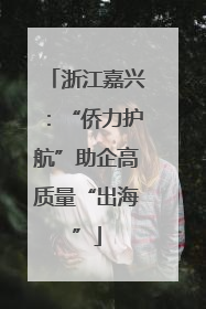 浙江嘉兴：“侨力护航”助企高质量“出海”