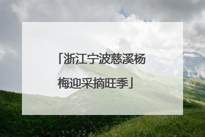 浙江宁波慈溪杨梅迎采摘旺季