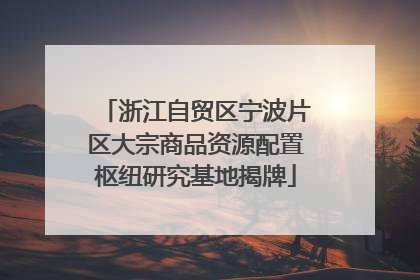 浙江自贸区宁波片区大宗商品资源配置枢纽研究基地揭牌