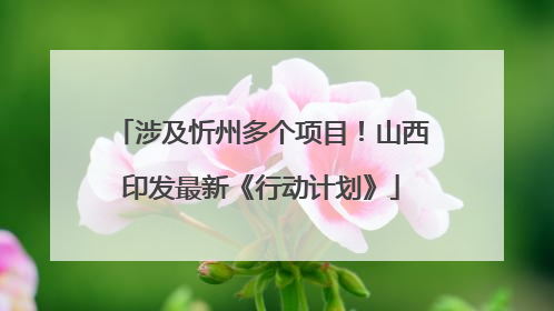 涉及忻州多个项目！山西印发最新《行动计划》