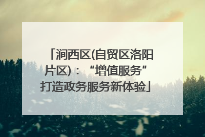 涧西区(自贸区洛阳片区)：“增值服务”打造政务服务新体验
