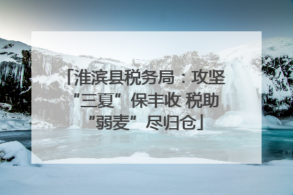 淮滨县税务局：攻坚“三夏”保丰收 税助“弱麦”尽归仓