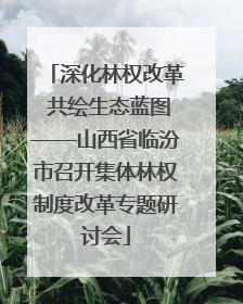 深化林权改革 共绘生态蓝图——山西省临汾市召开集体林权制度改革专题研讨会