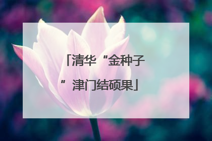 清华“金种子”津门结硕果