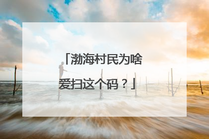 渤海村民为啥爱扫这个码？