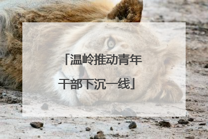 温岭推动青年干部下沉一线