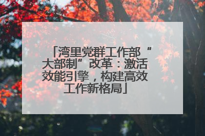湾里党群工作部“大部制”改革：激活效能引擎，构建高效工作新格局