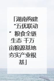湖南构建“五优联动”粮食全链生态 千万亩粮源基地夯实产业根基