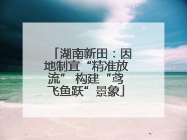 湖南新田：因地制宜“精准放流” 构建“鸢飞鱼跃”景象