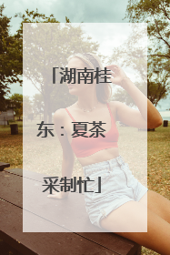 湖南桂东：夏茶采制忙