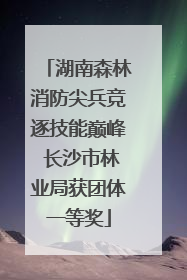 湖南森林消防尖兵竞逐技能巅峰 长沙市林业局获团体一等奖