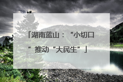 湖南蓝山：“小切口”推动“大民生”
