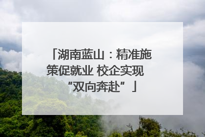 湖南蓝山：精准施策促就业 校企实现“双向奔赴”