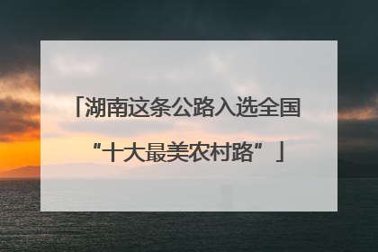 湖南这条公路入选全国“十大最美农村路”
