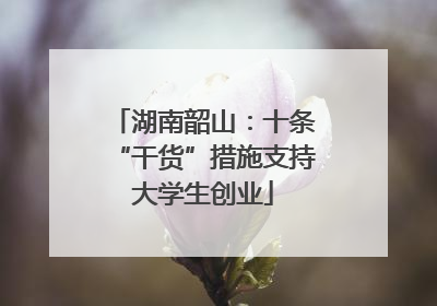 湖南韶山：十条“干货”措施支持大学生创业