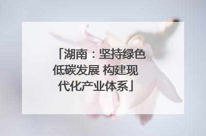 湖南：坚持绿色低碳发展 构建现代化产业体系