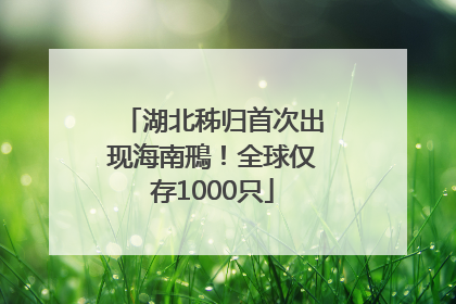 湖北秭归首次出现海南鳽！全球仅存1000只