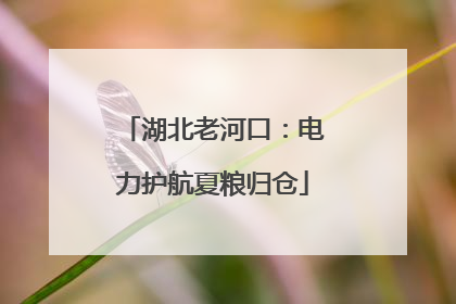 湖北老河口：电力护航夏粮归仓