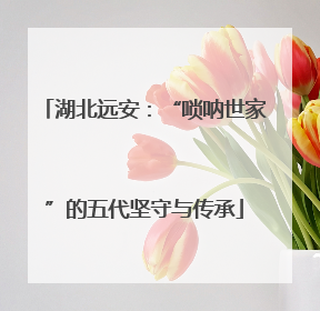 湖北远安：“唢呐世家”的五代坚守与传承