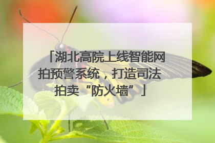 湖北高院上线智能网拍预警系统，打造司法拍卖“防火墙”