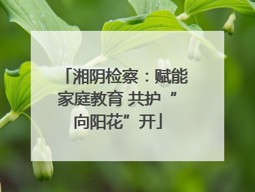 湘阴检察：赋能家庭教育 共护“向阳花”开