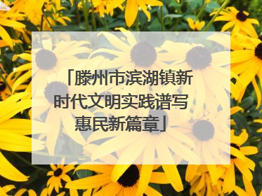滕州市滨湖镇新时代文明实践谱写惠民新篇章