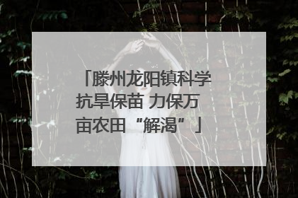 滕州龙阳镇科学抗旱保苗 力保万亩农田“解渴”