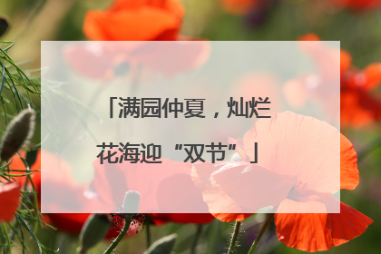 满园仲夏,灿烂花海迎“双节”