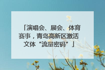 演唱会、展会、体育赛事，青岛高新区激活文体“流量密码”