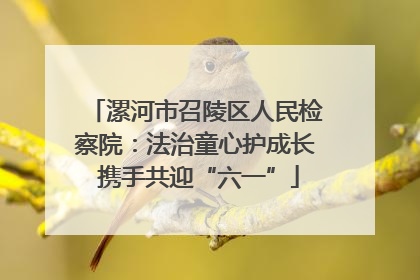 漯河市召陵区人民检察院：法治童心护成长 携手共迎“六一”