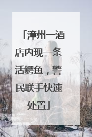 漳州一酒店内现一条活鳄鱼，警民联手快速处置