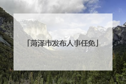 菏泽市发布人事任免