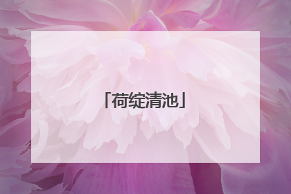 荷绽清池