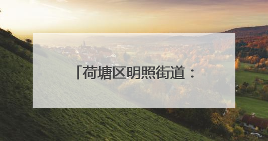 荷塘区明照街道：“撂荒地”变“爱心菜园” 志愿者携手种下“增收希望”