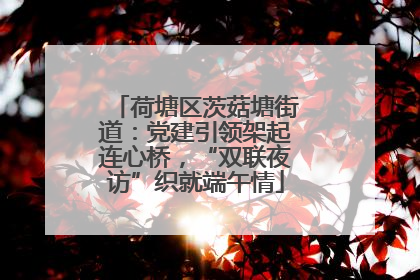 荷塘区茨菇塘街道：党建引领架起连心桥，“双联夜访”织就端午情
