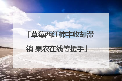 草莓西红柿丰收却滞销 果农在线等援手